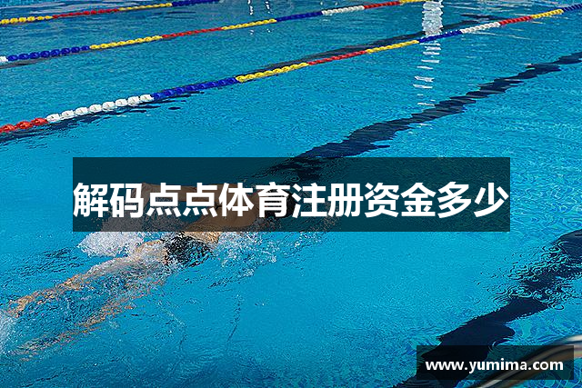解码点点体育注册资金多少